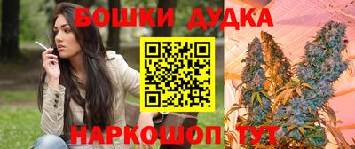 дживик Будённовск